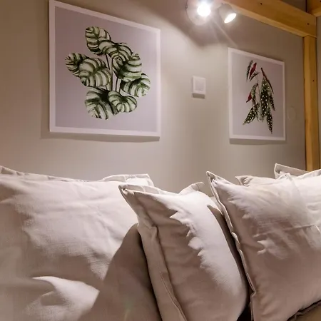 Appartement Cosy In Party District Ak20s